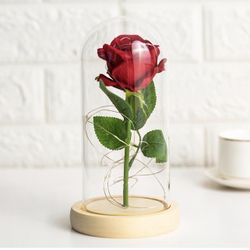 Rose Gifts for Women Mother Mom Wife Sister Girlfriend, Glass Rose Light Up Rose Eternal Flower Valentines Day Gifts for Her (Red