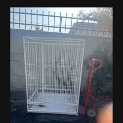 Parrot  Cages 