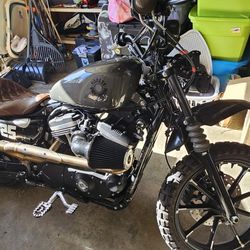2019 Harley Davidson 883 Sportster Custom