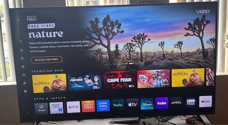 75” TV