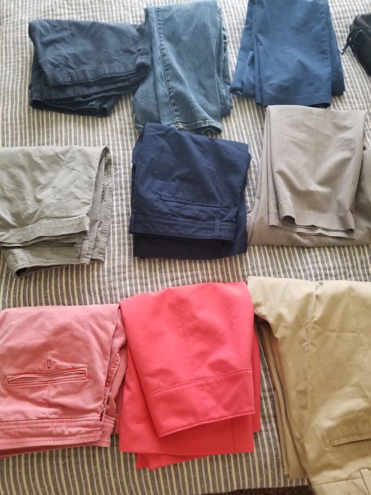 Shorts pants
