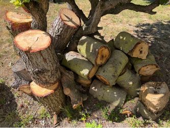 Free firewood