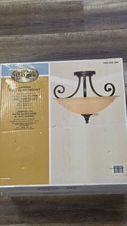 Hampton Bay Carina 16.5 inch ceiling light