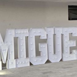FOR SALE: 4ft Light-Up Letters. $5 each (for sale)
