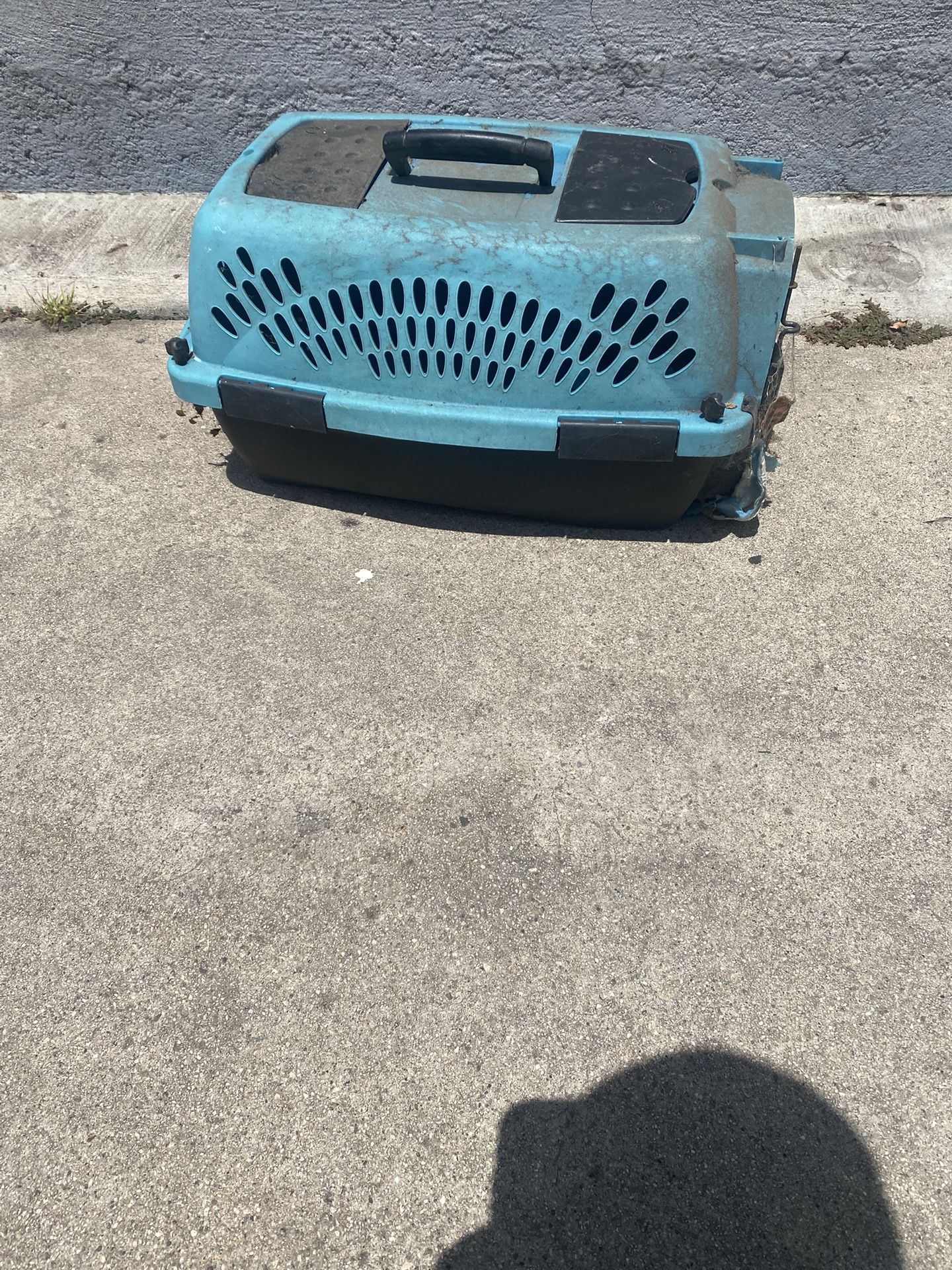 Dog Kennel