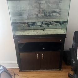 Fish Tank