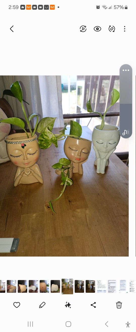 3 Small Planters