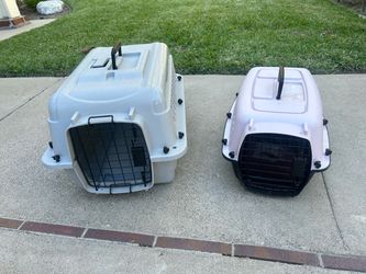 Pet Kennel