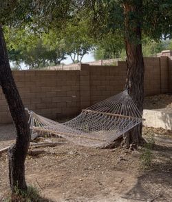 Hammock