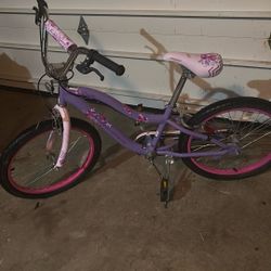 Schwinn Bike - 22 Inch Tires 