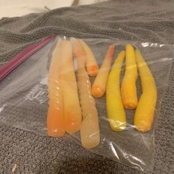 Candles (8) Yellow & Faded