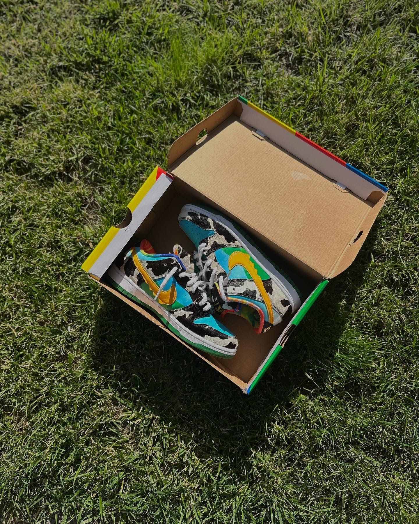 CHUNKY DUNKYS NIKE SB