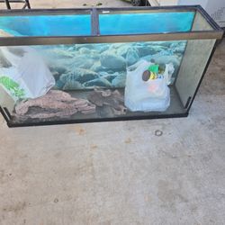 Fish Tank