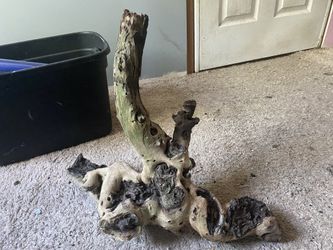 Drift Wood