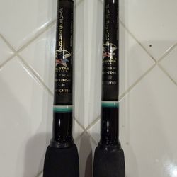 Calstar GF 700H & 700L Fishing Rods