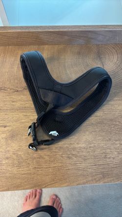 Top Paw dog harness black