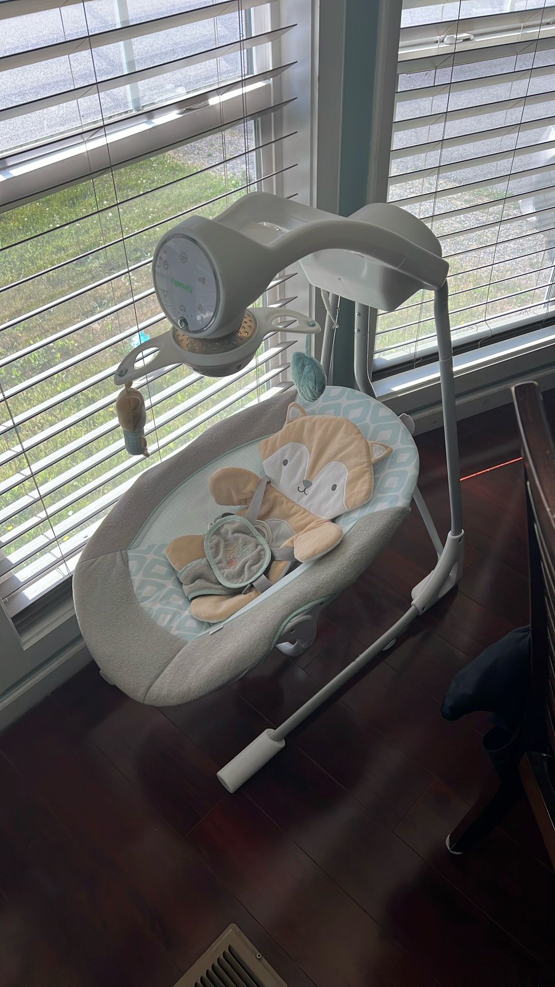 Baby Swing