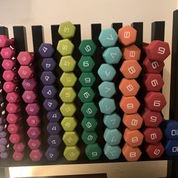 Fitness Dumbbell Set with Rack