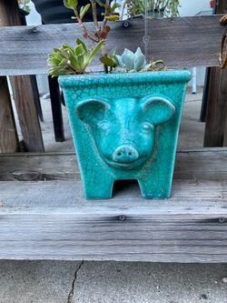 Pig Planter $30 Land Park area Accept Zelle Cash App Venmo Pay Pal and Cash