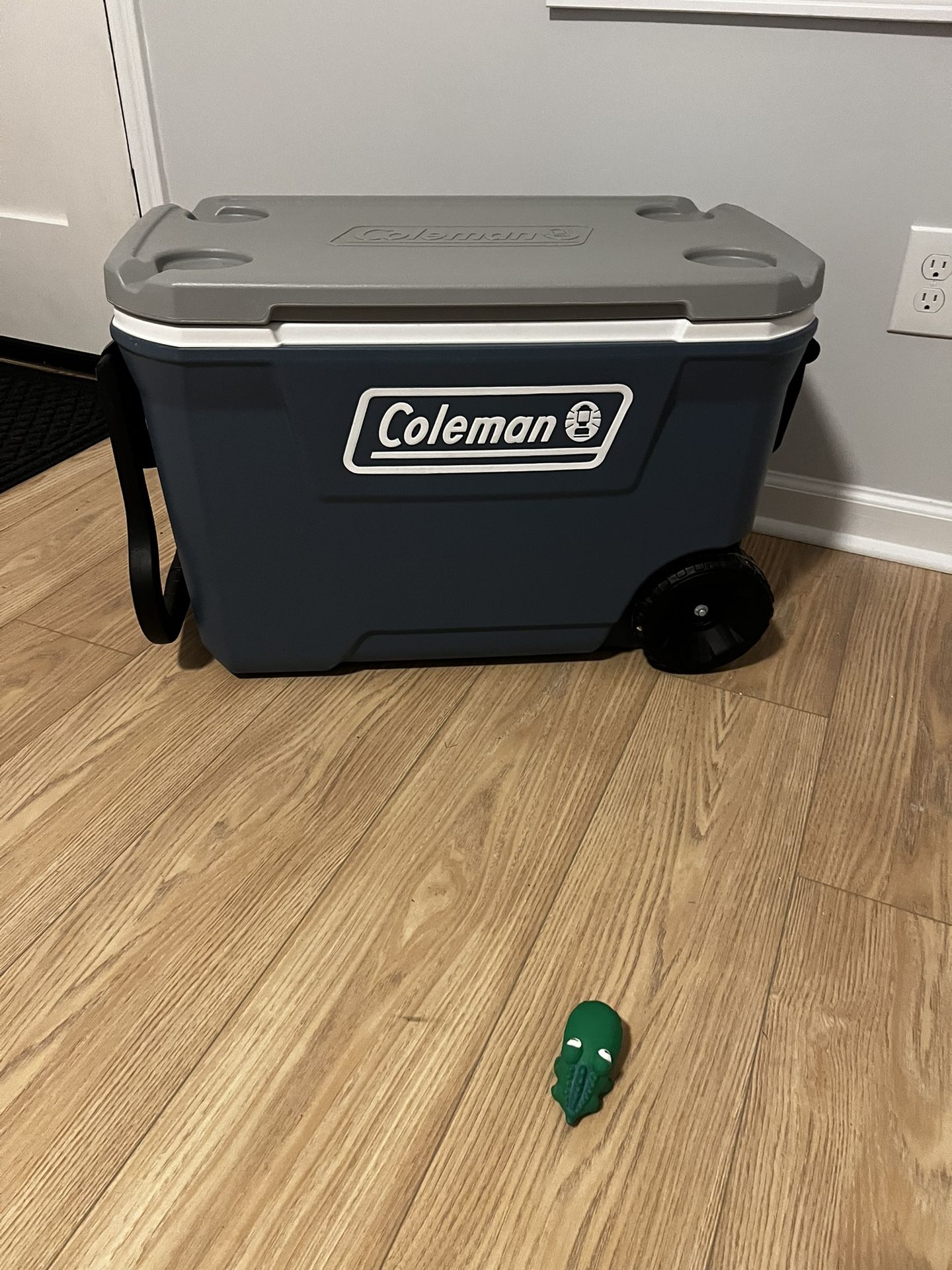 Coleman Cooler