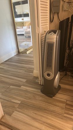 Fan
