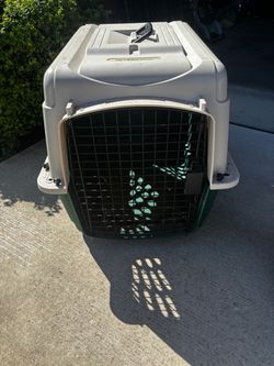 Dog kennel and crate