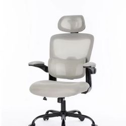 ✌️ Ergonomic Mesh Office Chair with 3D Adjustable Lumbar Support, High Back Desk Chair with Flip-up Arms, Executive Computer Chair