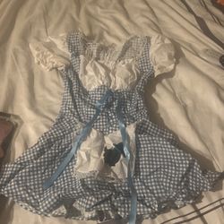 Dorothy Costume