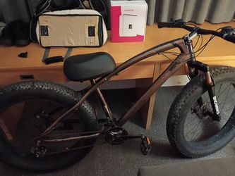 Snow bike