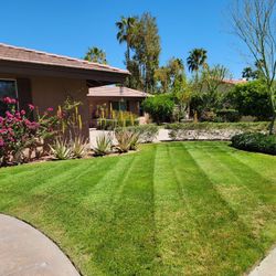 Gardening For Homes