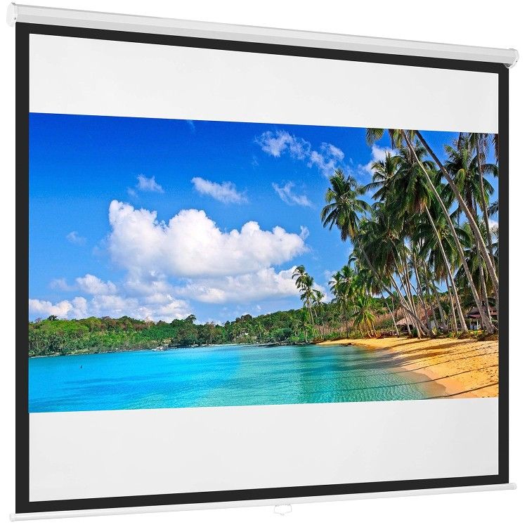 119" Projector Screen (Best Choice Products)