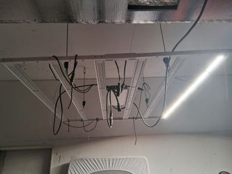 Industrial-grade, full-spectrum LED grow light