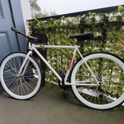 Fixie Bike