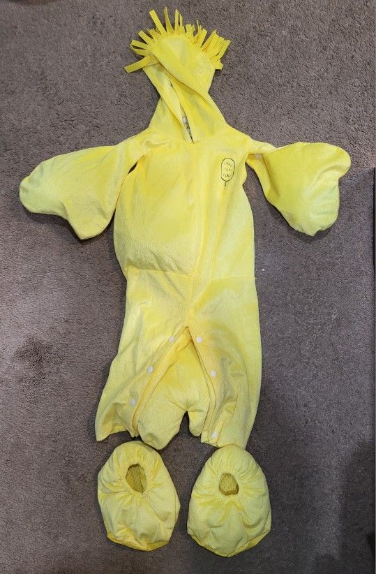 Peanuts Woodstock Costume