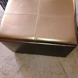 Foux leather storage pickup only cash