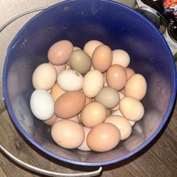 Eggs