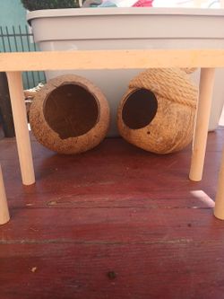Coconut hideouts and shelf with with stilts.