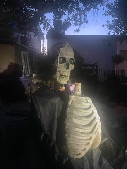 Halloween Grimm Reaper Skeleton