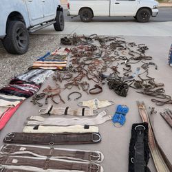 Horse Tack