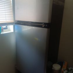 Insignia Mini fridge (Almost 4ft Tall)