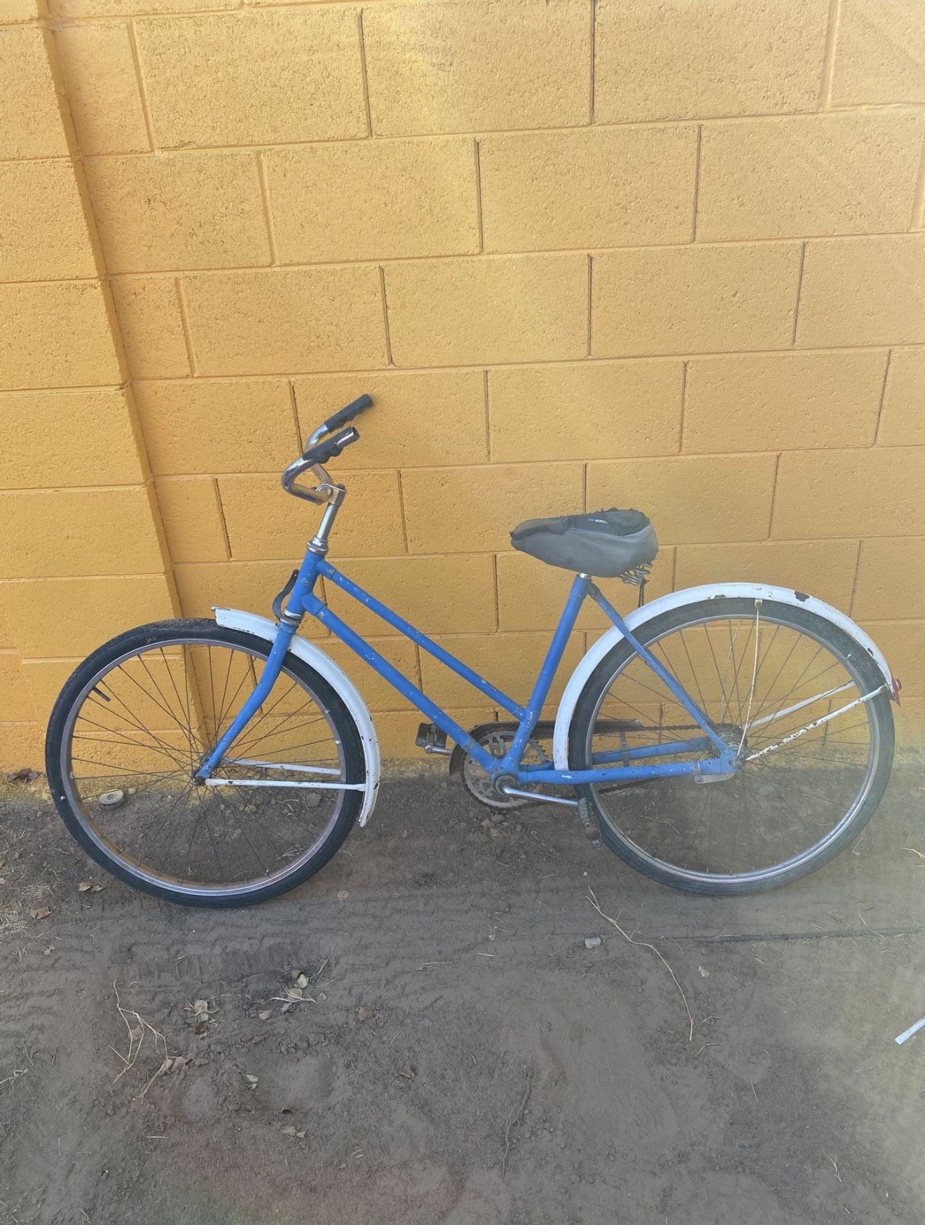 Beach Cruiser Bike