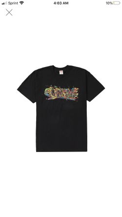 Supreme paint tee size large DS