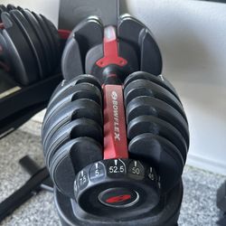 Bowflex SelectTech 552 Dumbell Set And Rack