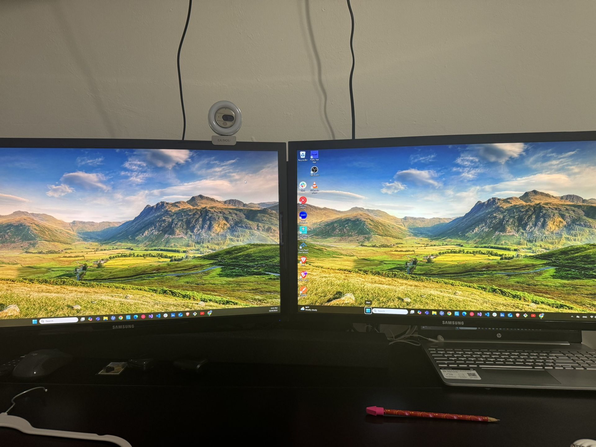 Samsung Monitors (2)