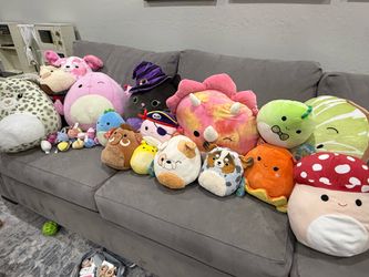 38 Squishmallows Lot (12 NEW NWT)!