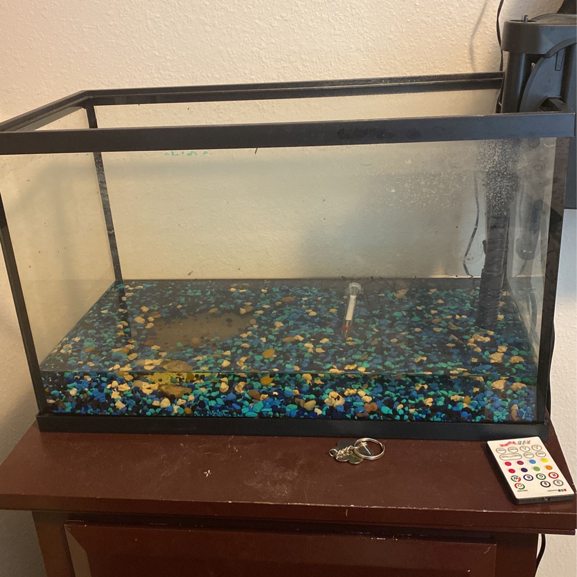 10 Gallon Aquariam With Filter, Heater, And Themometer.