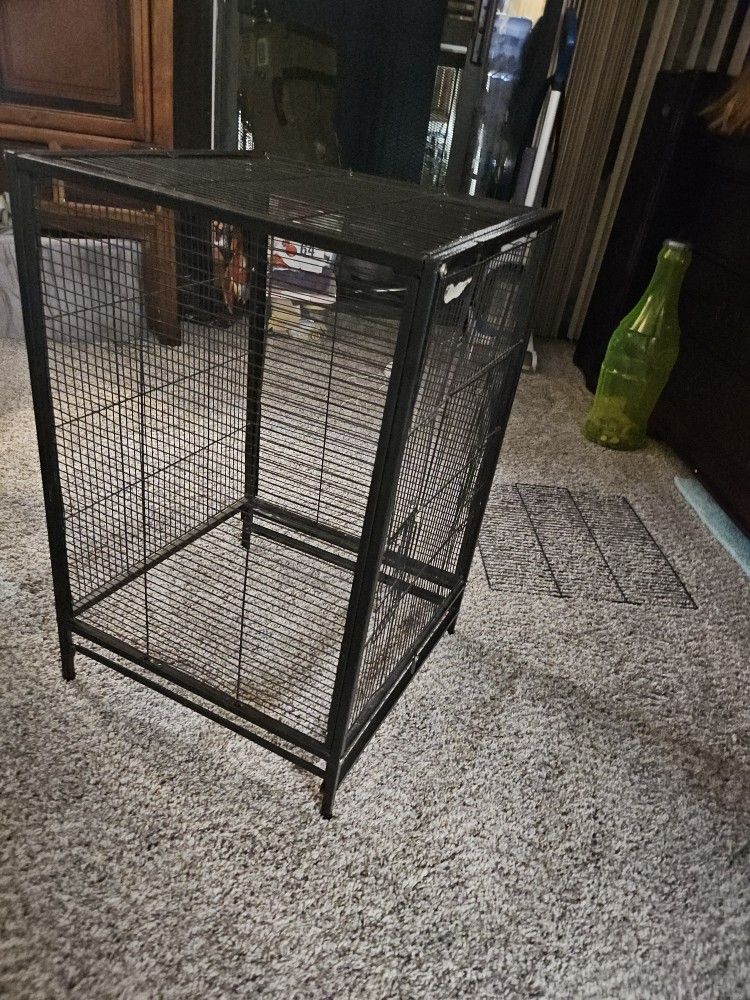 Bird Travel Cage