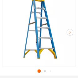 6 Ft Ladder 