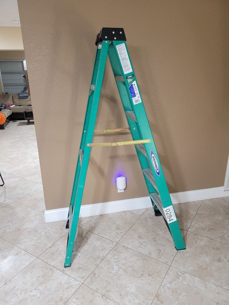Werner 6ft Ladder