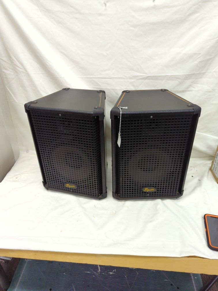 Pair Of Squier 160W 8Ohm PA Speakers